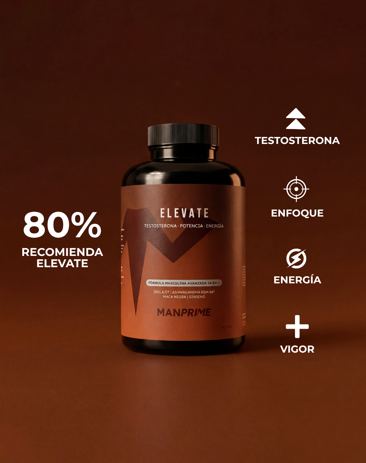 Elevate